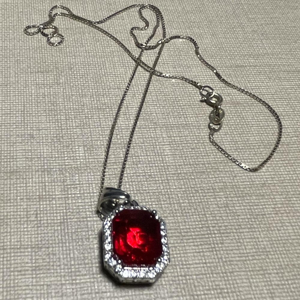 Sterling chain holding stainless steel drop